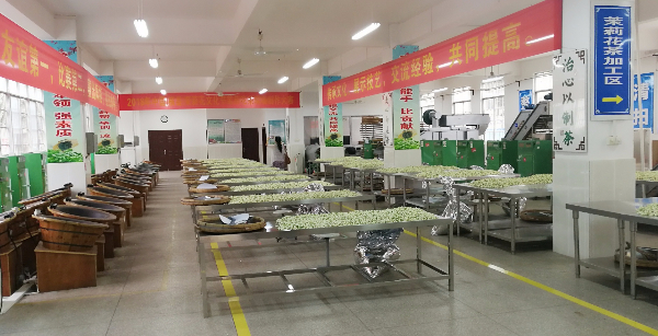 茉莉花比賽4.jpg 茉莉花比賽4.jpg