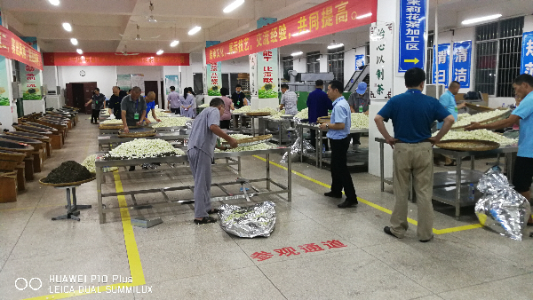 花茶比賽照片.jpg 花茶比賽照片.jpg