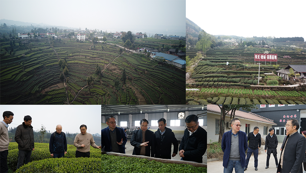 考察合集.png 考察合集.png